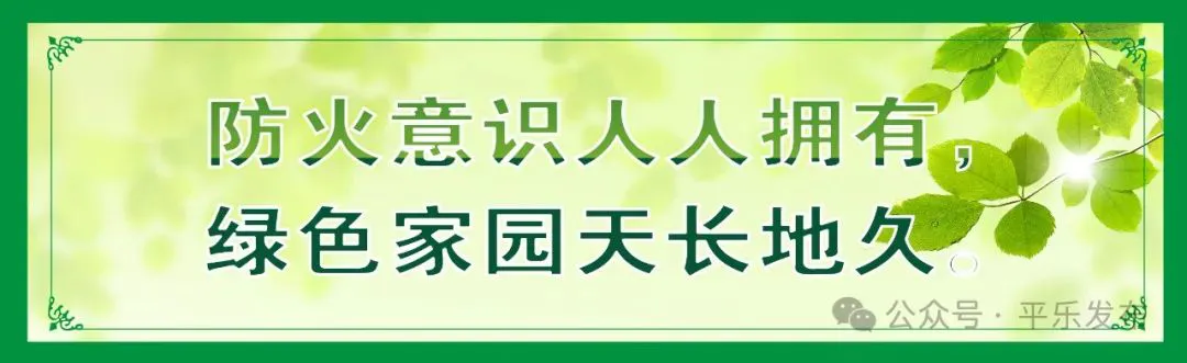 篮球试训前的体能训练方案_2